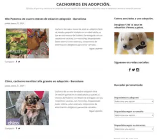 Adoptauncachorro.com(Cachorros en adopción) Screenshot