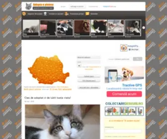 Adoptiipisici.ro(Adoptii pisici) Screenshot