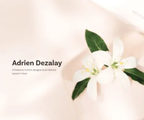 Adriendezalay.com(Adrien Dezalay) Screenshot