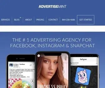 Advertisemint.com(Facebook Advertising Agency) Screenshot