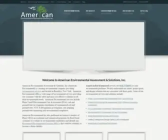 Aeasinc.com(American Environmental Assessment & Solutions) Screenshot