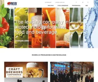 Aeb-Group.com(Enter the world of AEB Group) Screenshot