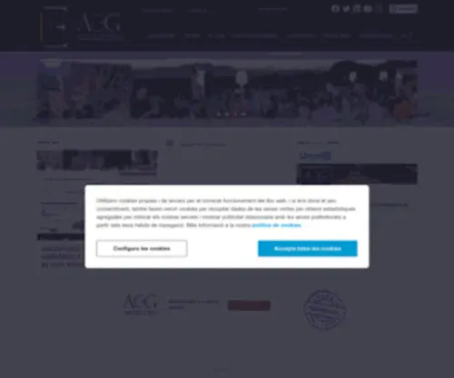 Aeeg.cat(Associació d'empresaris i emprenedors de Girona) Screenshot