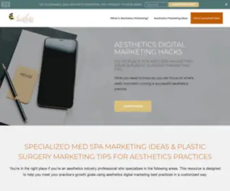 Aestheticmarketingconsultant.com(Med Spa Marketing Ideas) Screenshot