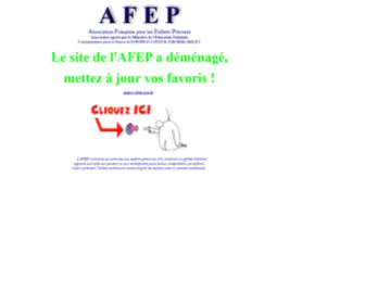 Afep.asso.fr(15 janvier 2005 AFEP) Screenshot