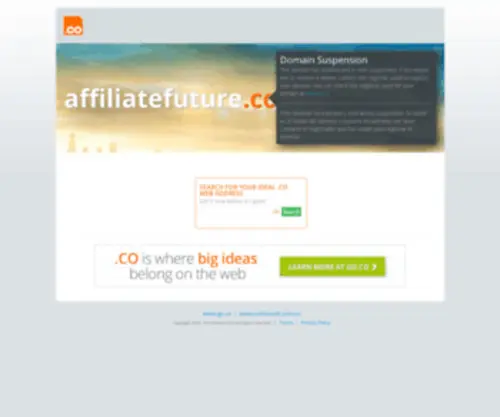 Affiliatefuture.co(A really cool domain parked on Park.io) Screenshot