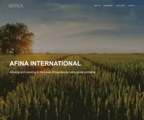 Afinainternational.com(Afina International) Screenshot