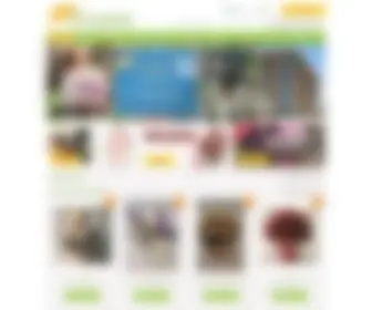 Aflowers.ee(A-Flowers) Screenshot