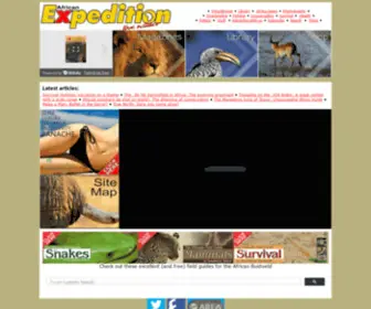 African-Hunter.com(African Expedition) Screenshot