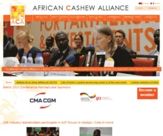 Africancashewalliance.com(African Cashew Alliance) Screenshot