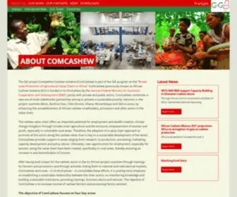 Africancashewinitiative.org(Africancashewinitiative) Screenshot