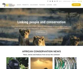 Africanconservation.org(The African Conservation Foundation) Screenshot