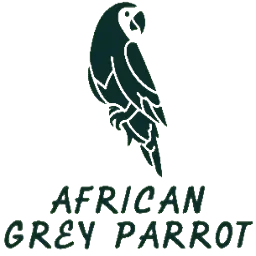 Africangreyparrotforsale.com Favicon