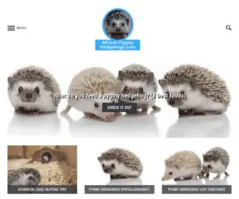 Africanpygmyhedgehogs.com(African Pygmy Hedgehogs) Screenshot