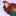 Afrikanparrot.com.ua Favicon