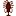 Afro-Belletresse.de Favicon