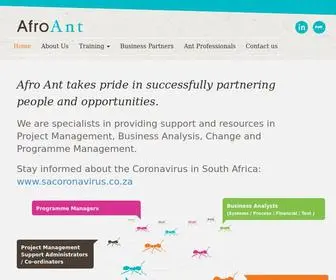 Afroant.co.za(Afro Ant) Screenshot