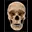 Afterlifehaunt.com Favicon