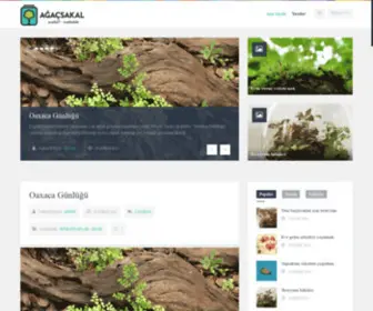 Agacsakal.com(Agac Sakal) Screenshot