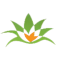 Agaveis.com Favicon
