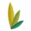 Agday.com Favicon