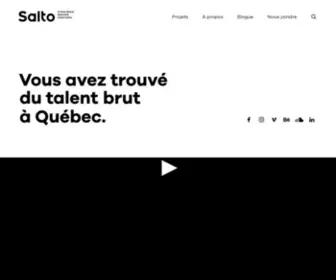 Agence-Salto.com(Agence Salto) Screenshot
