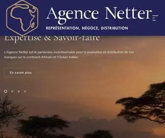 Agencenetter.com(Agence Netter) Screenshot