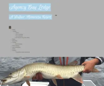 Agencybaylodge.com(Walker MN Fishing Resort) Screenshot