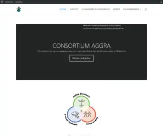 Aggra.org(Consortium AGGRA) Screenshot