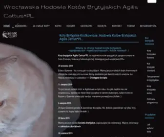 Agiliscattus.pl(Koty Brytyjskie Agilis Cattus*PL) Screenshot