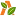 Agrici.net Favicon