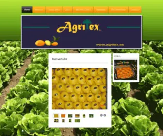 Agritex.es(AGRITEX) Screenshot