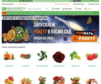 Agro-Market24.ru(семена) Screenshot