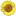 Agro-MIR.com.ua Favicon
