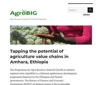 Agrobig.org(Agro-Business Induced Growth Programme) Screenshot