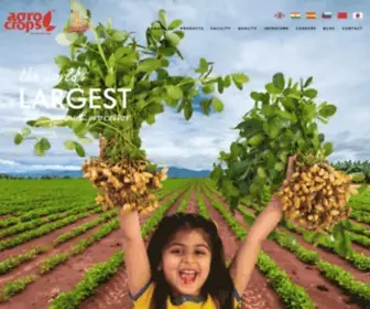 Agrocrops.com(Indian Spices Exporters) Screenshot