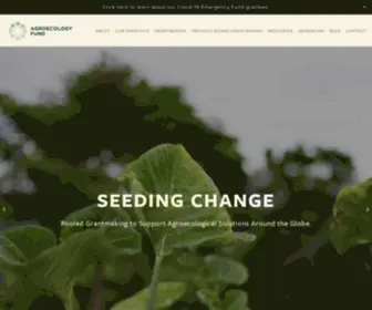 Agroecologyfund.org(AgroEcology Fund) Screenshot