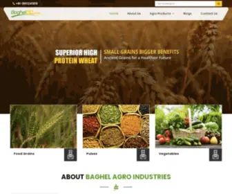 Agroexporters.net(Baghel Agro Industries) Screenshot