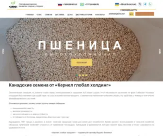 Agrofermer.com(Канадские трансгенные семена) Screenshot