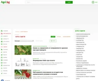 Agronet.bg(Съвети от фермери за фермери. Споделен опит за най) Screenshot