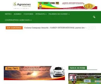 Agronewsguinee.com(Agronewsguinee) Screenshot