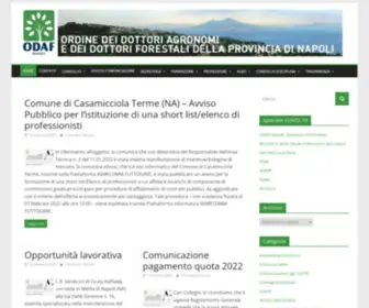 Agronominapoli.it(Ordine dei dottori agronomi e dei dottori forestali della provincia di Napoli) Screenshot