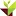 Agronovas.com.br Favicon