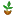 Agrosemillas.com.co Favicon