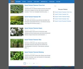 Agroteknologi.web.id(Agrotek.id adalah situs yang membahas mengenai ilmu pertanian (agroteknologi)) Screenshot