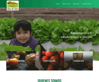 Agrovistadelvalle.com(Vista del Valle) Screenshot