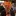 Ahayworth.com Favicon