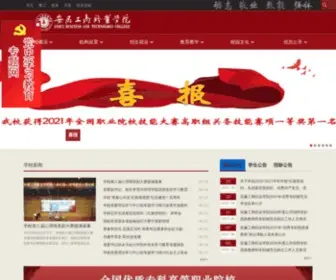 AHBVC.cn(AHBVC) Screenshot