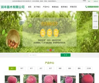 Ahmiaomu.com(安徽寿县润丰苗木种植有限公司) Screenshot