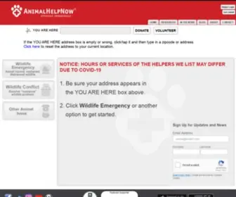 Ahnow.org(Animal Help Now) Screenshot